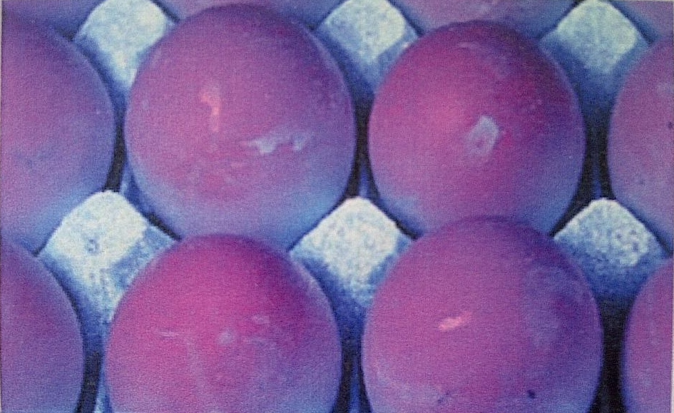 view with help of ultraviolet light of the same A class eggs (not washed)