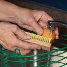 TripleLima egg washing