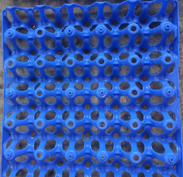 clean egg tray